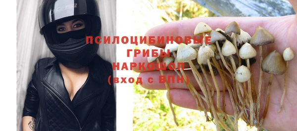прущая мука Няндома