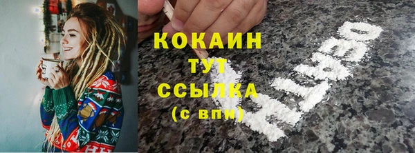 прущая мука Няндома