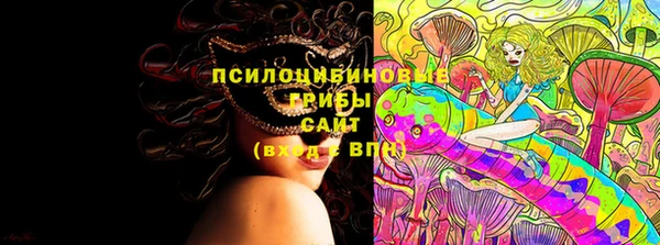 прущая мука Няндома