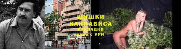 прущая мука Няндома