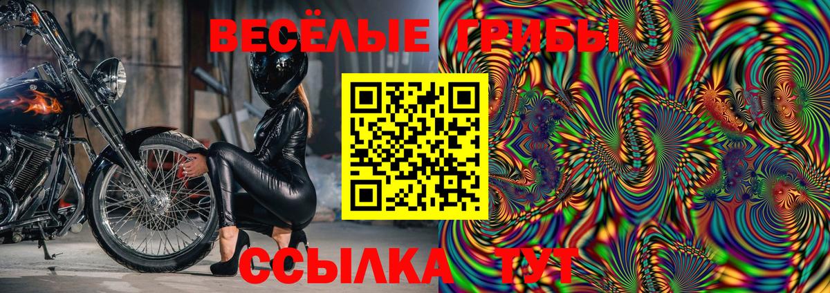 Псилоцибиновые грибы мицелий  Волоколамск  Галлюциногенные грибы Psilocybine cubensis 