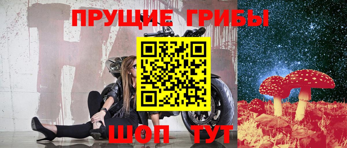 Псилоцибиновые грибы Psilocybe Волоколамск